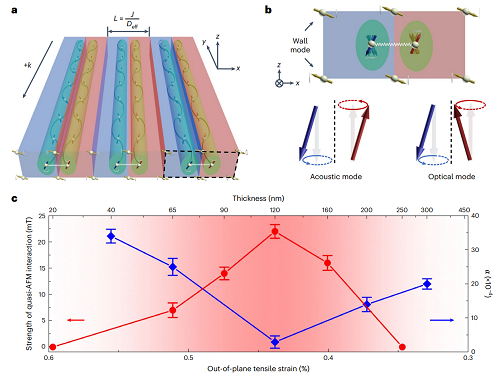 【资讯】磁振子-长距离自旋波 | Nature Materials