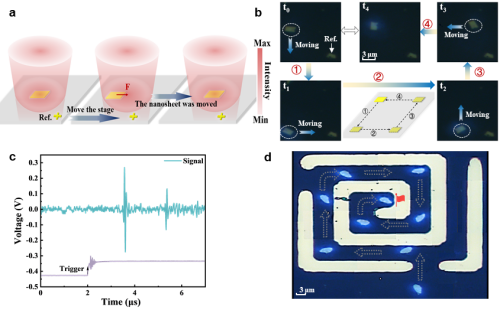 【资讯】上海光机所在飞秒激光可控操控二维纳米片运动方面取得进展