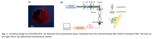 【资讯】罗丹明6G-微球掺杂光子晶体纤维的随机激光发射